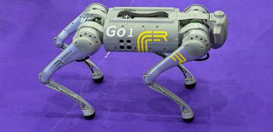 Bot